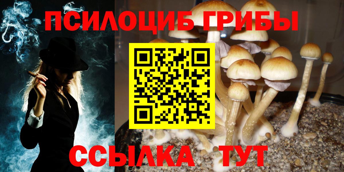Галлюциногенные грибы MAGIC MUSHROOMS  Галлюциногенные грибы MAGIC MUSHROOMS  Вход с VPN  Зеленокумск 