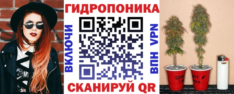 Шишки марихуана OG Kush  Зеленокумск 